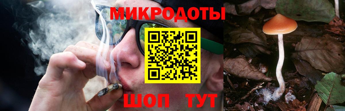 Егорьевск  Псилоцибиновые грибы MAGIC MUSHROOMS  Вход с VPN 
